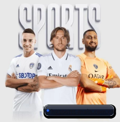 每个板块围绕一个运动项目展开(HGSports)